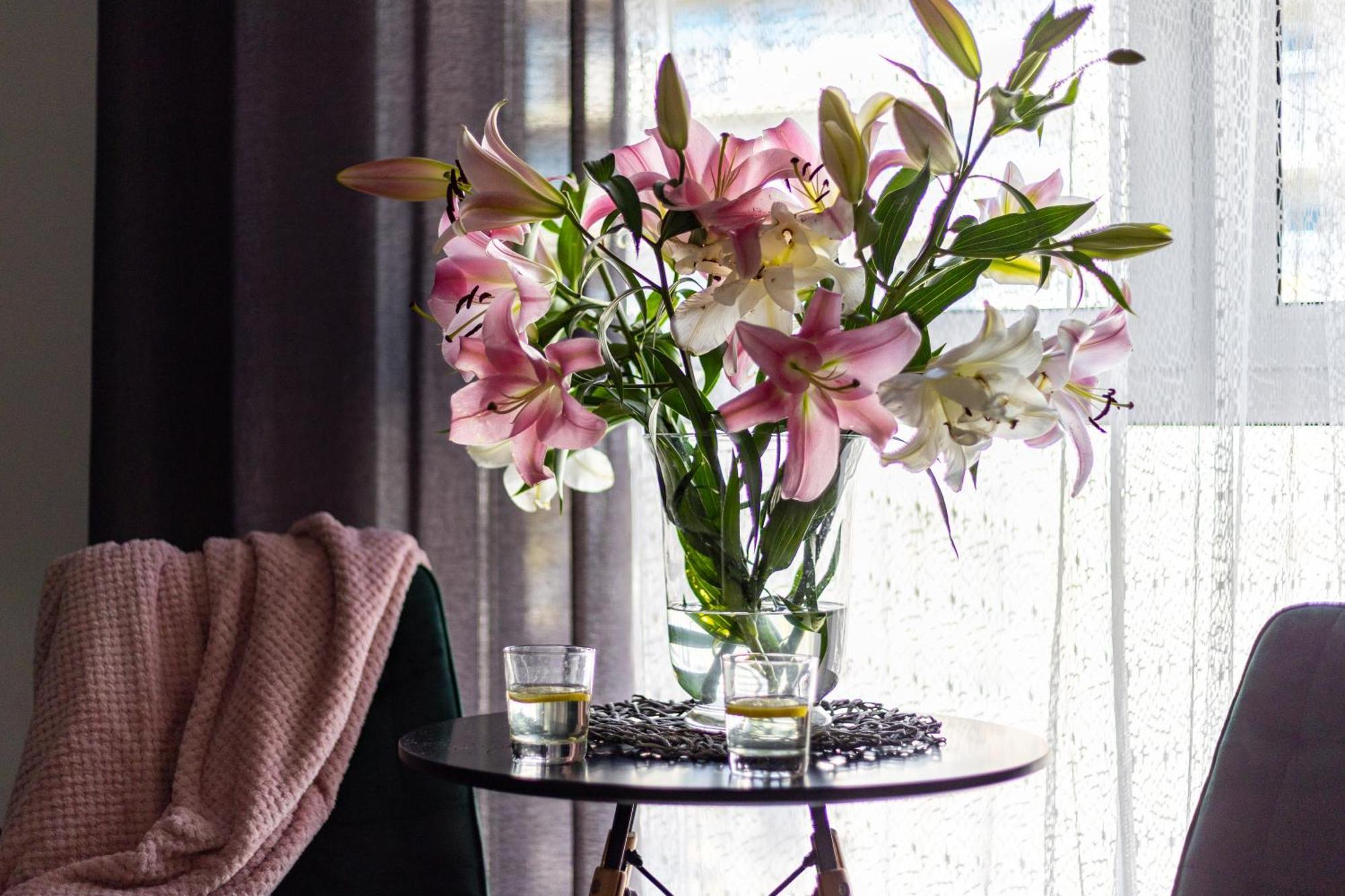 Apartamenty We Wroclawiu - Jaworska エクステリア 写真